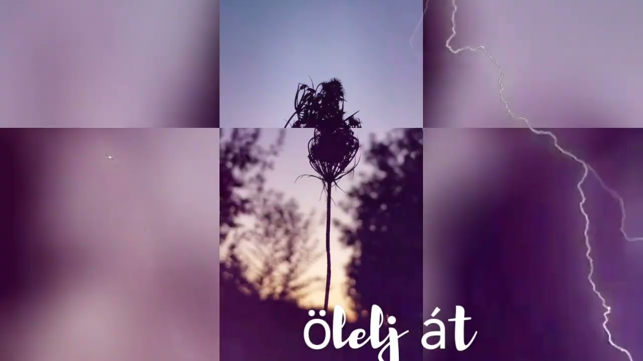 &Ouml;lelj &aacute;t,,(Saj&aacute;t dalsz&ouml;veg + AI zene )#aizene 