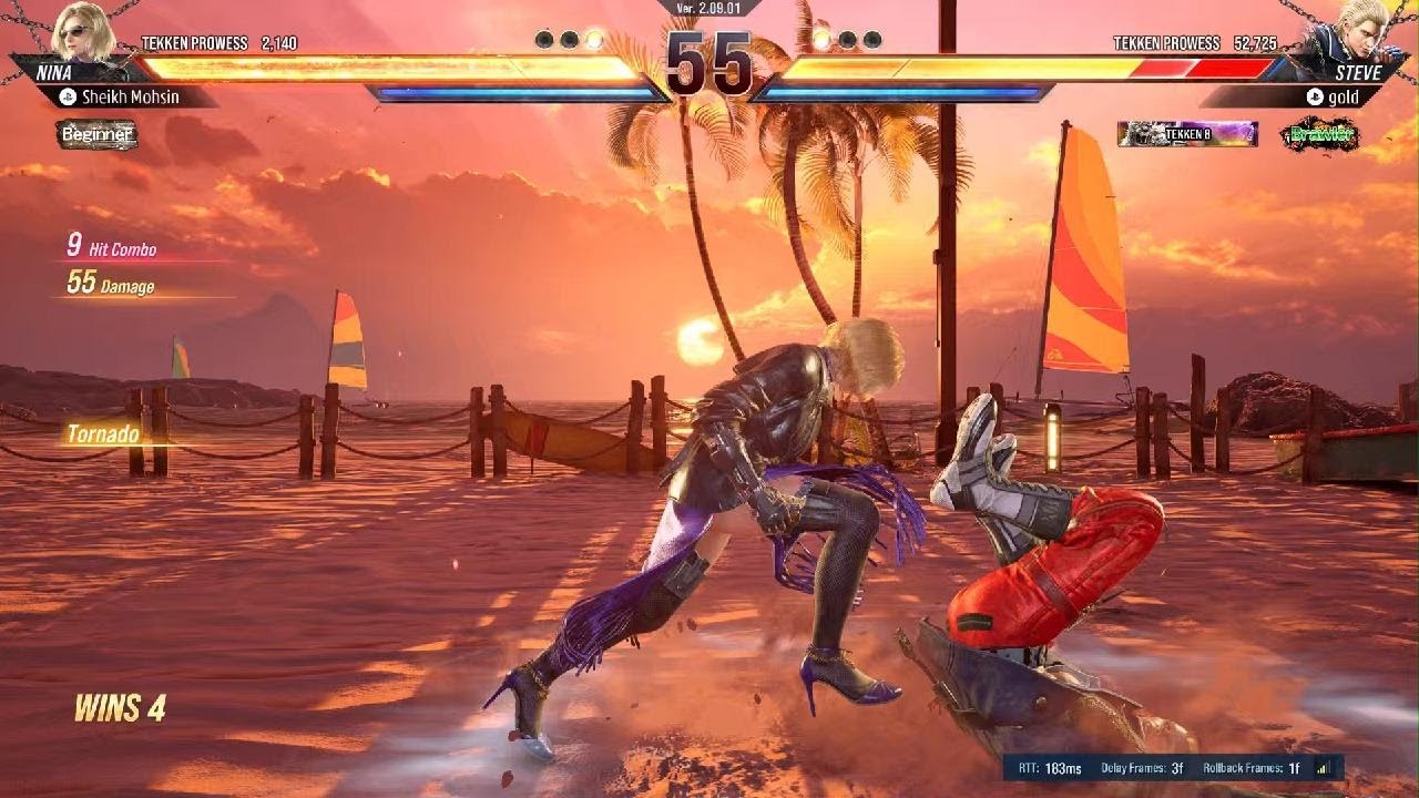 Tekken 8 Nina vs Steve 