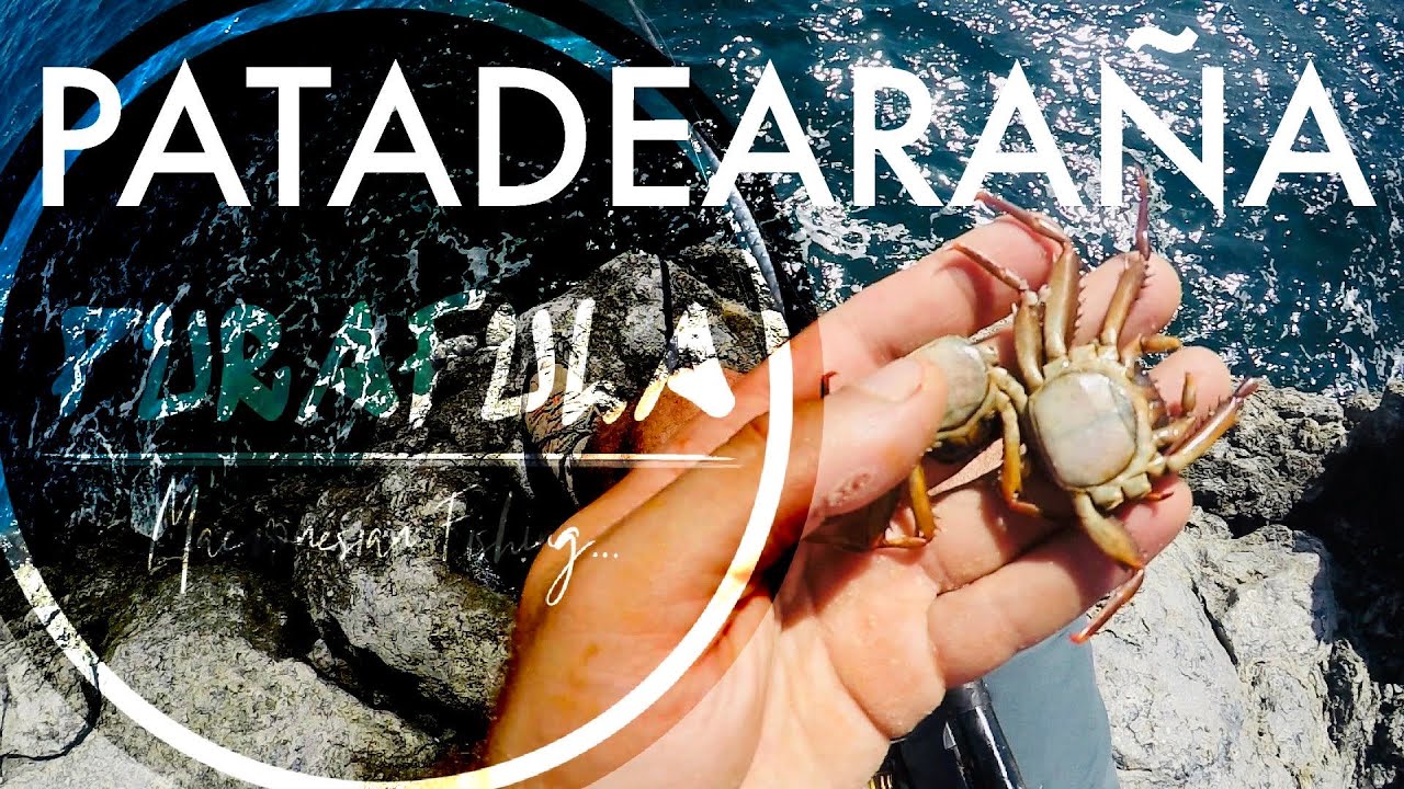 “Pesca de VIEJAS”(con PatadeAraña)...Mantequillita, Golosina, PURE CANDY!!!
