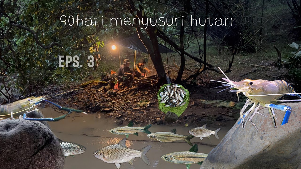 90hari menyusuri hutan eps 3 membangun shelter 3hari 2 malam di guyur hujan