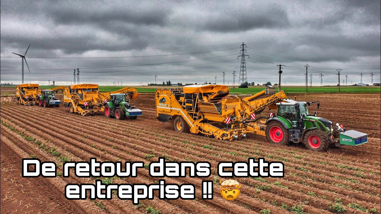 De retour dans cette entreprise 🫣 - Saison de patates 2022