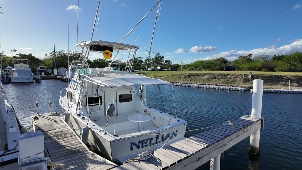 Pozuelo, Guayama Puerto Rico