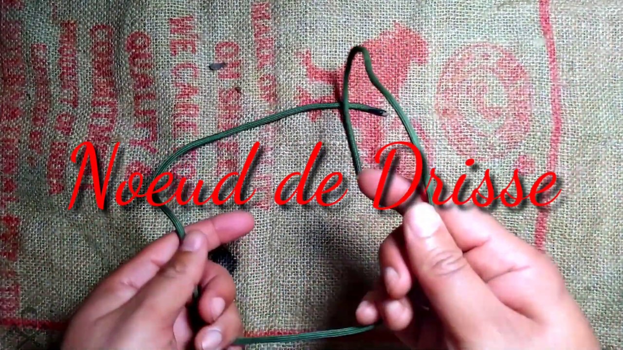 N&oelig;ud de Drisse