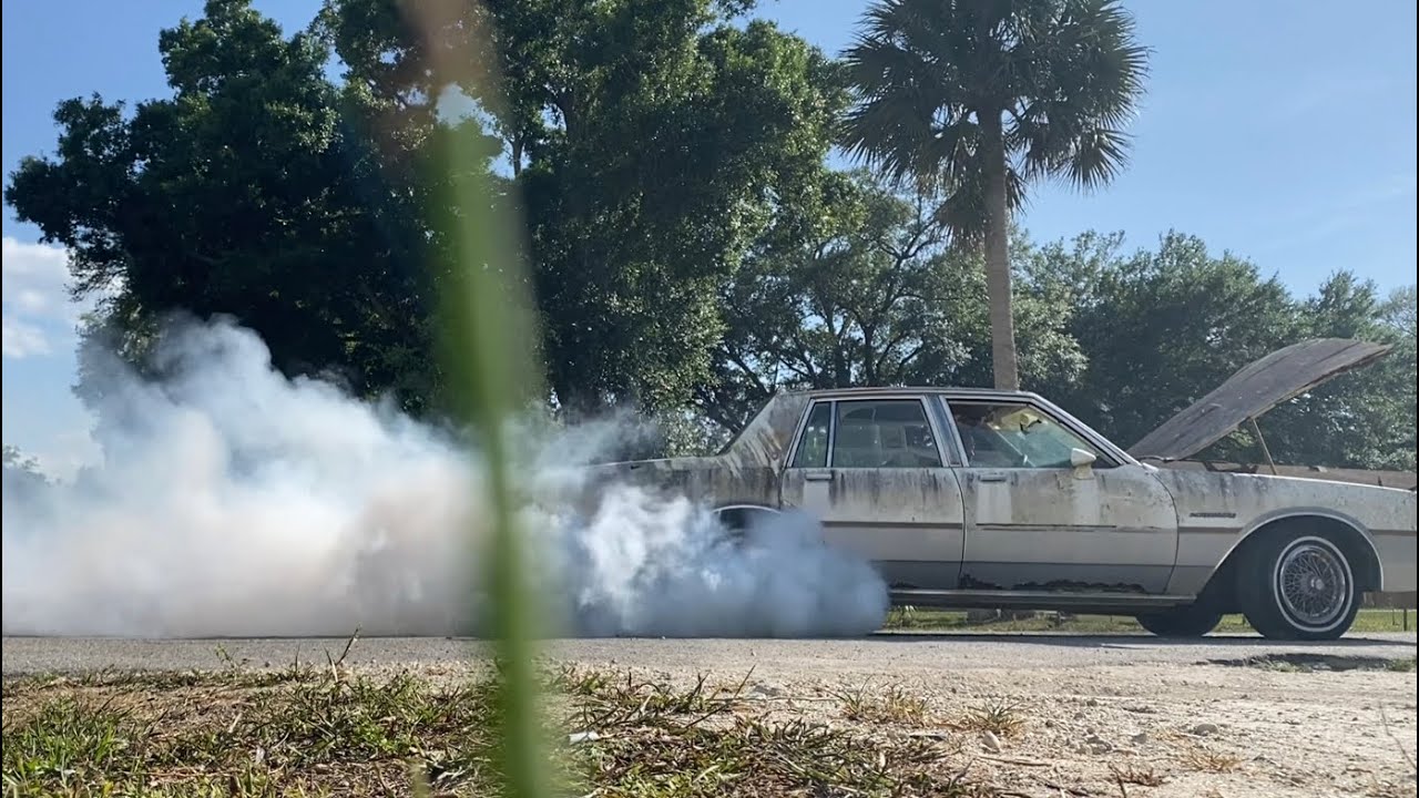 84 Pontiac Parisienne BACK TO LIFE!