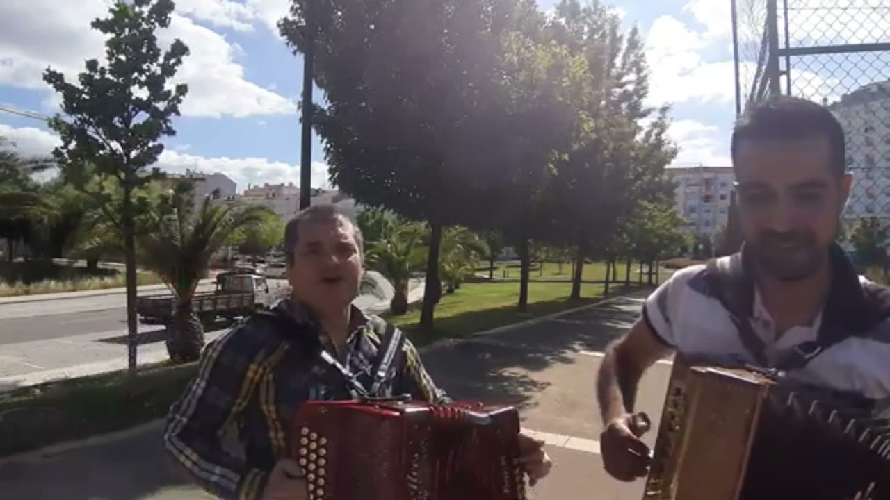 Desgarrada de improviso - Rui Alves e Fábio Farinha #live #concertinas