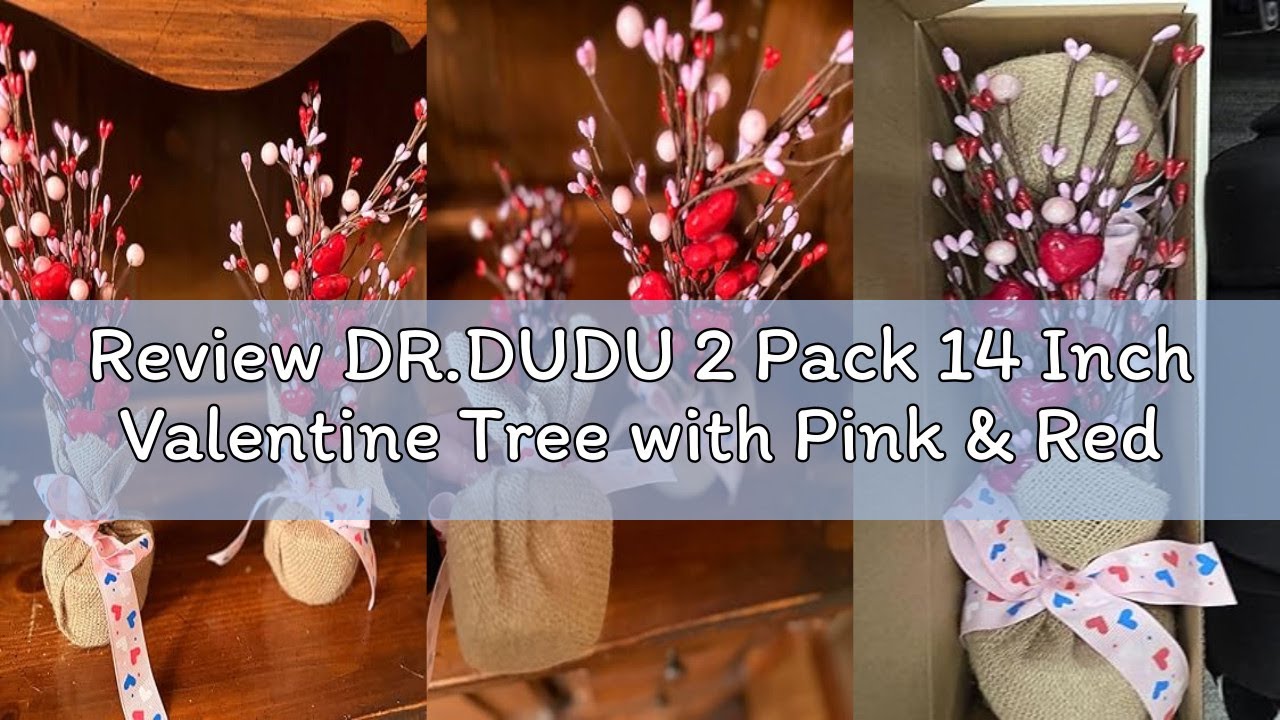 Review DR.DUDU 2 Pack 14 Inch Valentine Tree with Pink & Red Heart, Valentine's Day Table Decoration