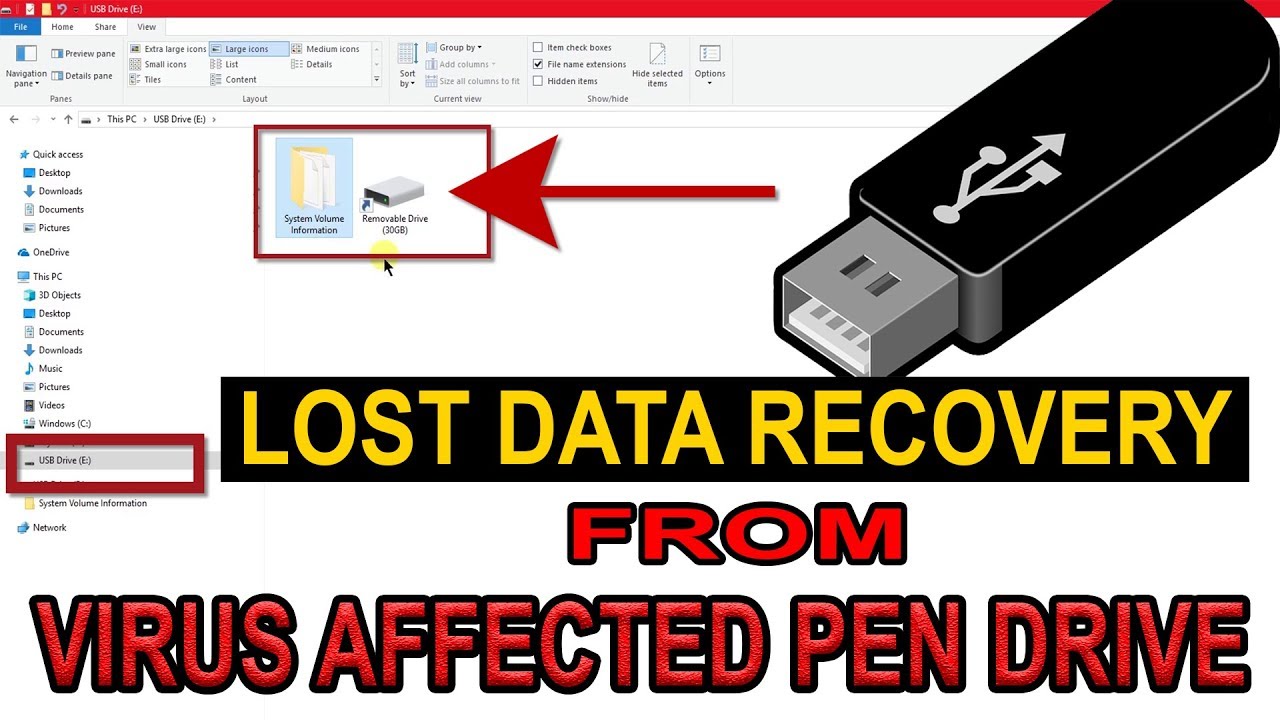 [Solved] Data is not showing in pen drive | Virus affected pen drive data recovery | Recover my data