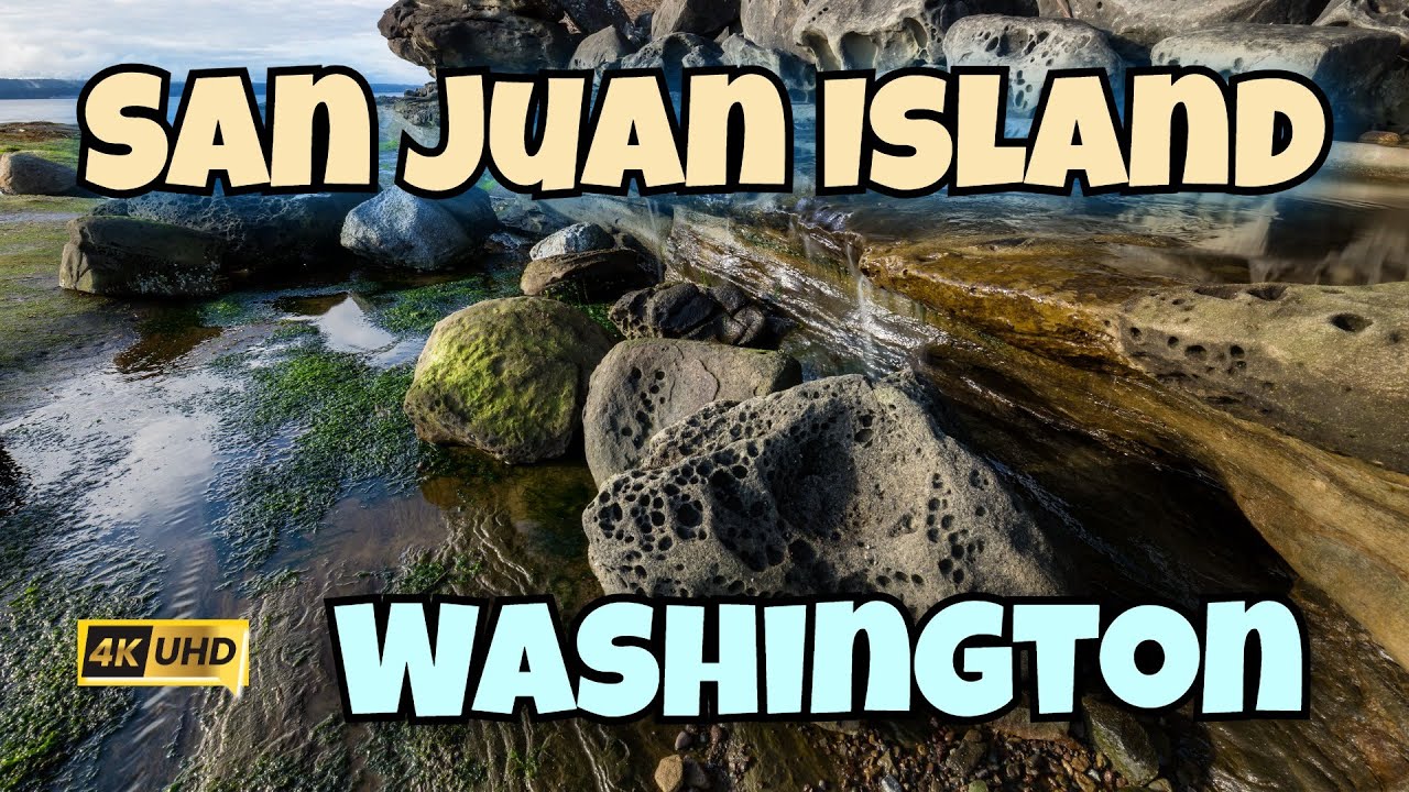 A Peaceful Walk Through San Juan Island, Washington (4K)