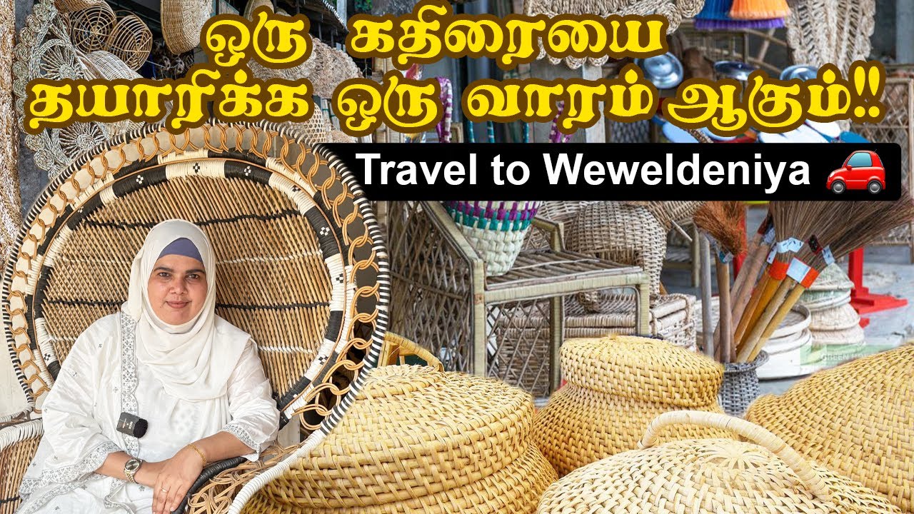ஒரு கதிரையை  தயாரிக்க ஒரு வாரம்  ஆகும் !! | Travel to Weveldhwniya🚗