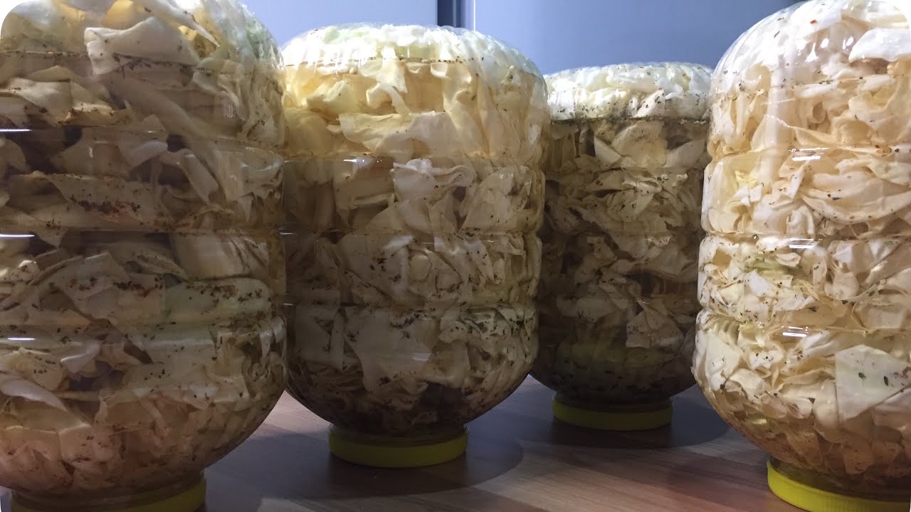 turşu lahana / pickled cabbage / Kabayan in Turkey