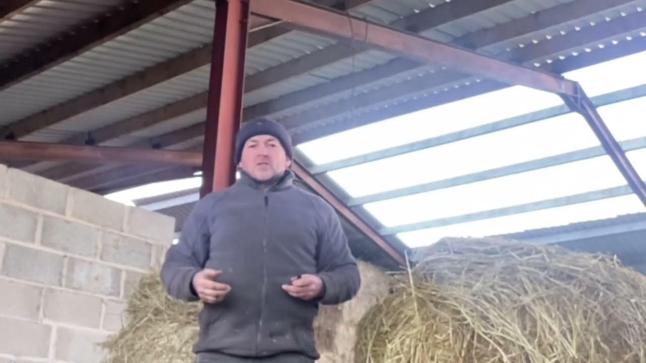 Laminitis. Feeding a horse.  colic. Hay, haylage and sugar content.