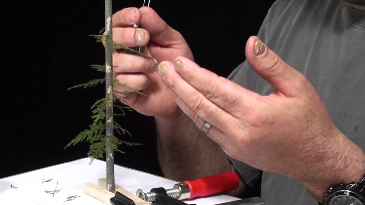 Scenic Factory Distressed Pine Tree Build