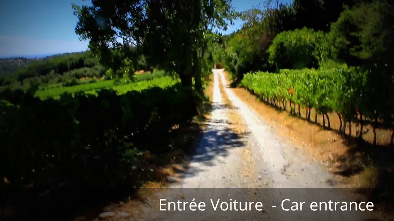 Instructions Vignoble Rasse à Saint-Jeannet