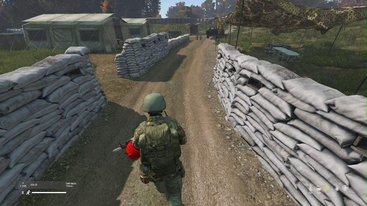 DayZ