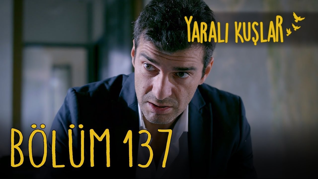 Yaralı Kuşlar 137. Bölüm