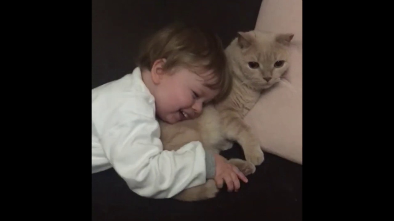 Aras ve kedisi Pishi