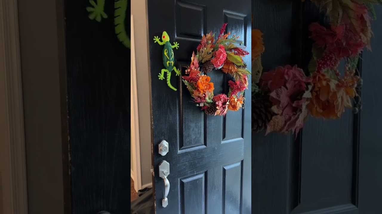 Wall Crawler Gecko Winktoys Review - Must See!