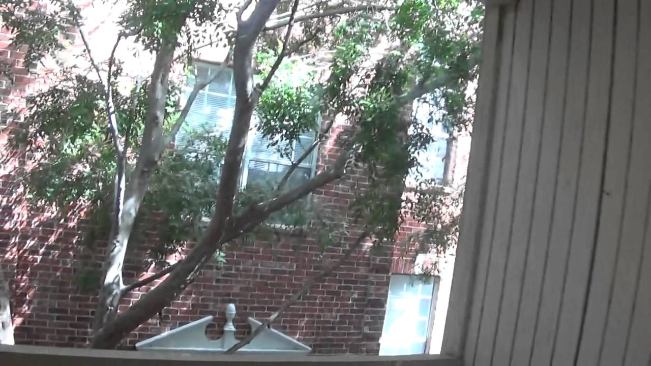 2300 AUGUSTA #36 FINAL WALK 04/07/2016