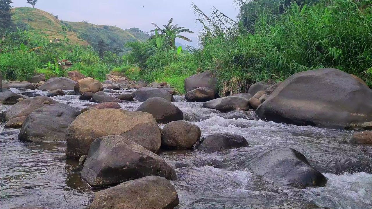 Moonlit River Relaxation – Gentle Flowing Water for Restful and Deep Sleep