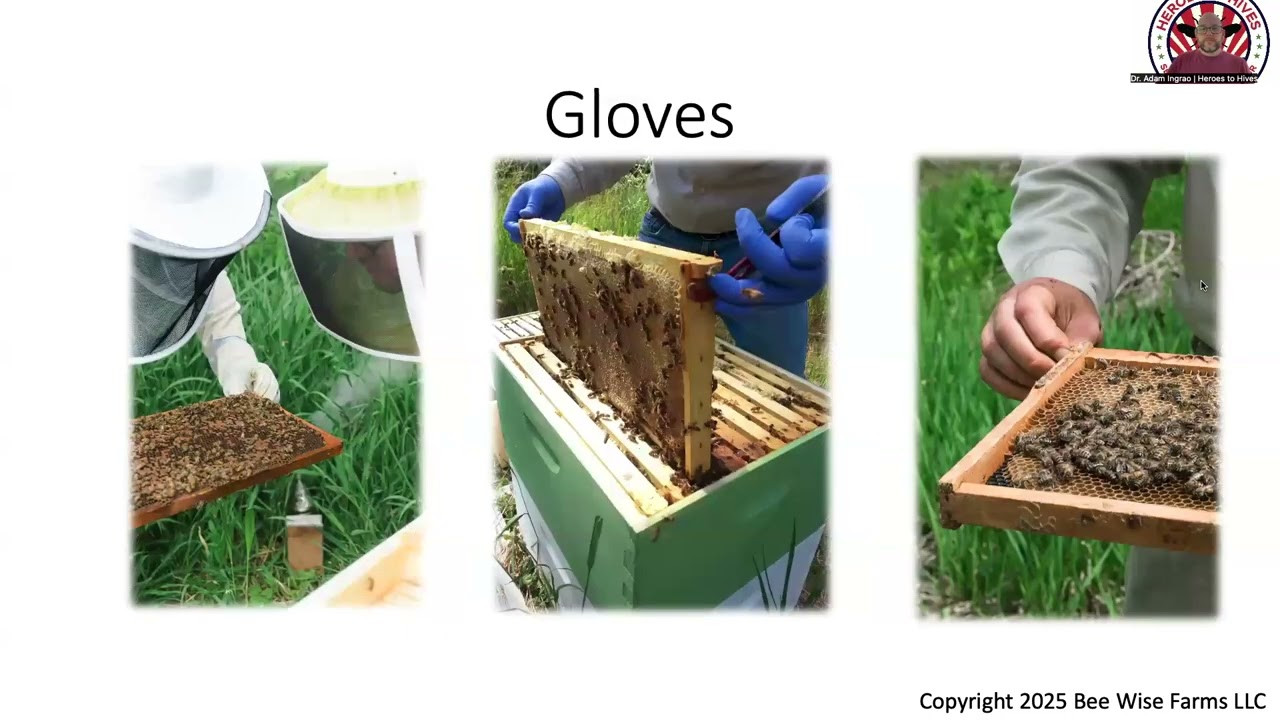 Lecture 4: Beekeeping Equipment