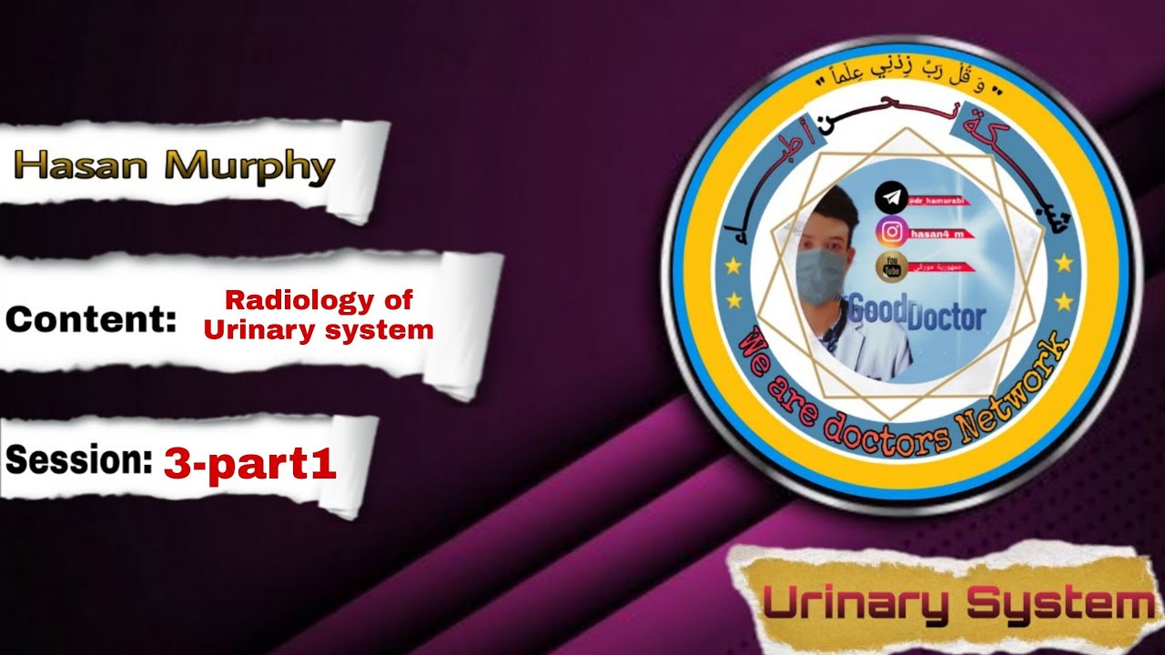 Urinary system/ Session 3-part1/ Radiology of urinary system/ By Hasan Murphy