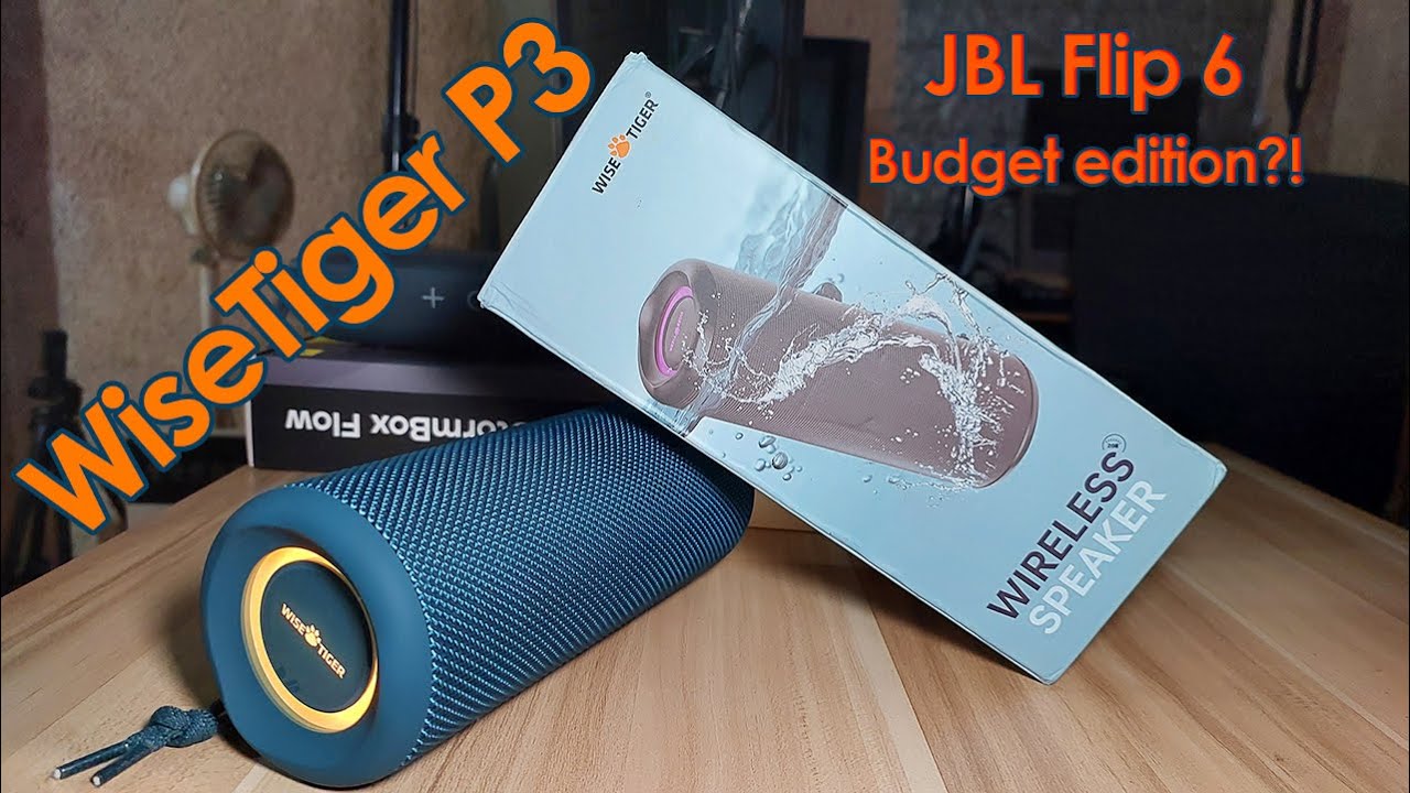 Wise-Tiger P3 | "Budget JBL Flip 6"