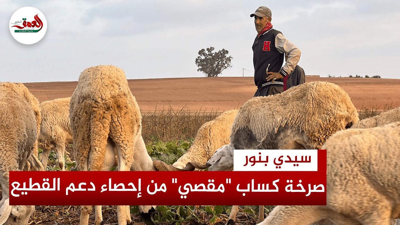 كساب يشكو الاقصاء من احصاء الدعم.. ويتهم الشيوخ والمقدمين بالتحكم في عملية إحصاء القطيع بسيدي بنور 