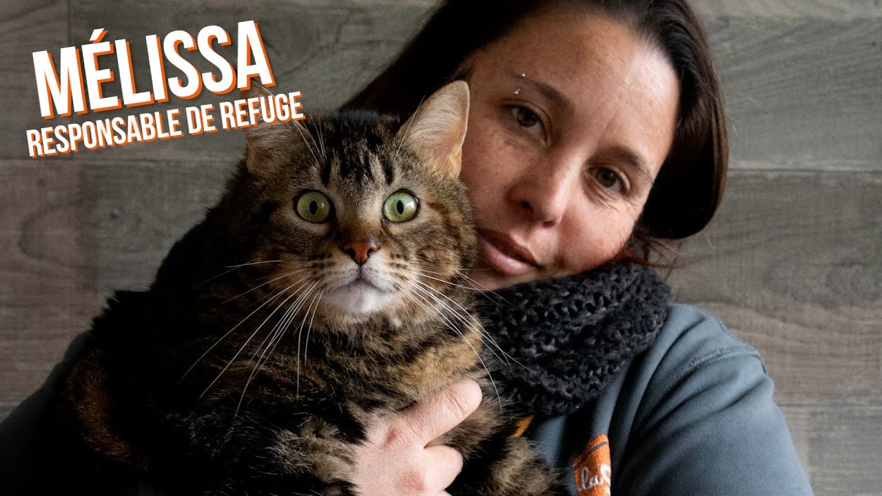Interview 🎙 Mélissa, Responsable du refuge de Rennes