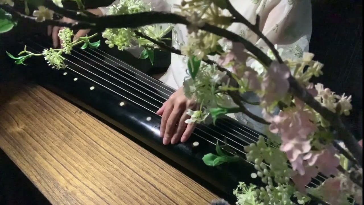 Mai Hoa Tam Lộng - Cổ cầm  【梅花三弄】【古琴Guqin】