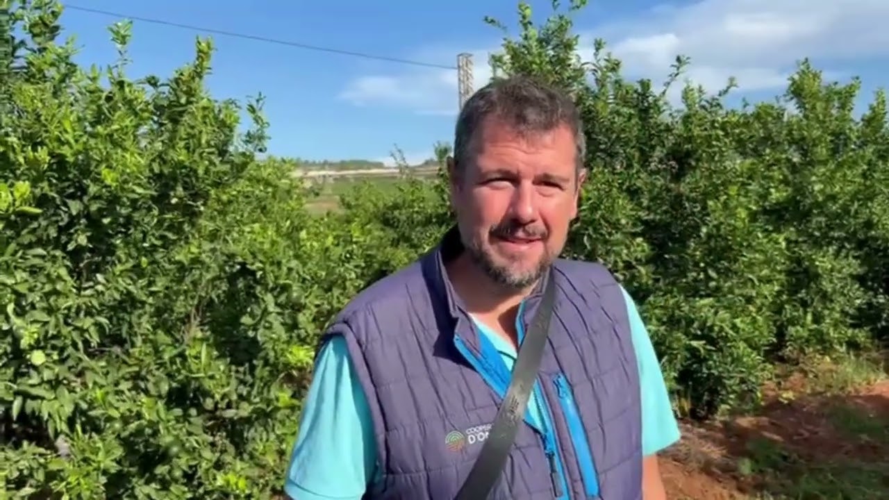 🌱 Experiencia CropBalance: Cítricos con Cooperativa de Onda