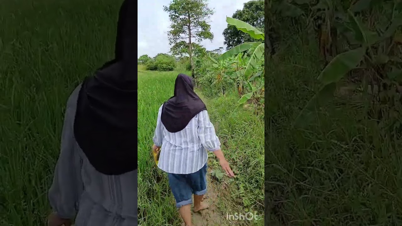 Pelatihan Silabus dan RPP serta peningkatan kompetensi tutor/Guru paket A,B, dan C lembaga PKBM IMMC