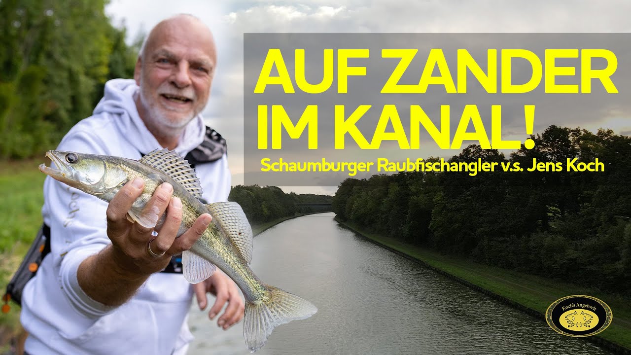 ZANDERANGELN AM KANAL - Zu Gast: Schaumburger Raubfischangler | Koch's Angelwelt | Gewinnspiel
