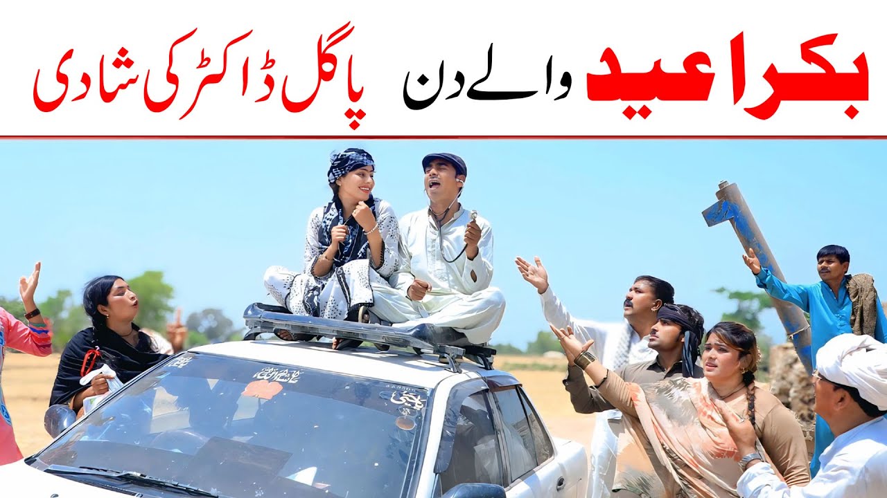 Doctor Funnybmemes | Ramzi,Noori, Bilo ,Bhootna,Shoki, Sanam, Falak Sher,Funny Video  Rachnavi Tv