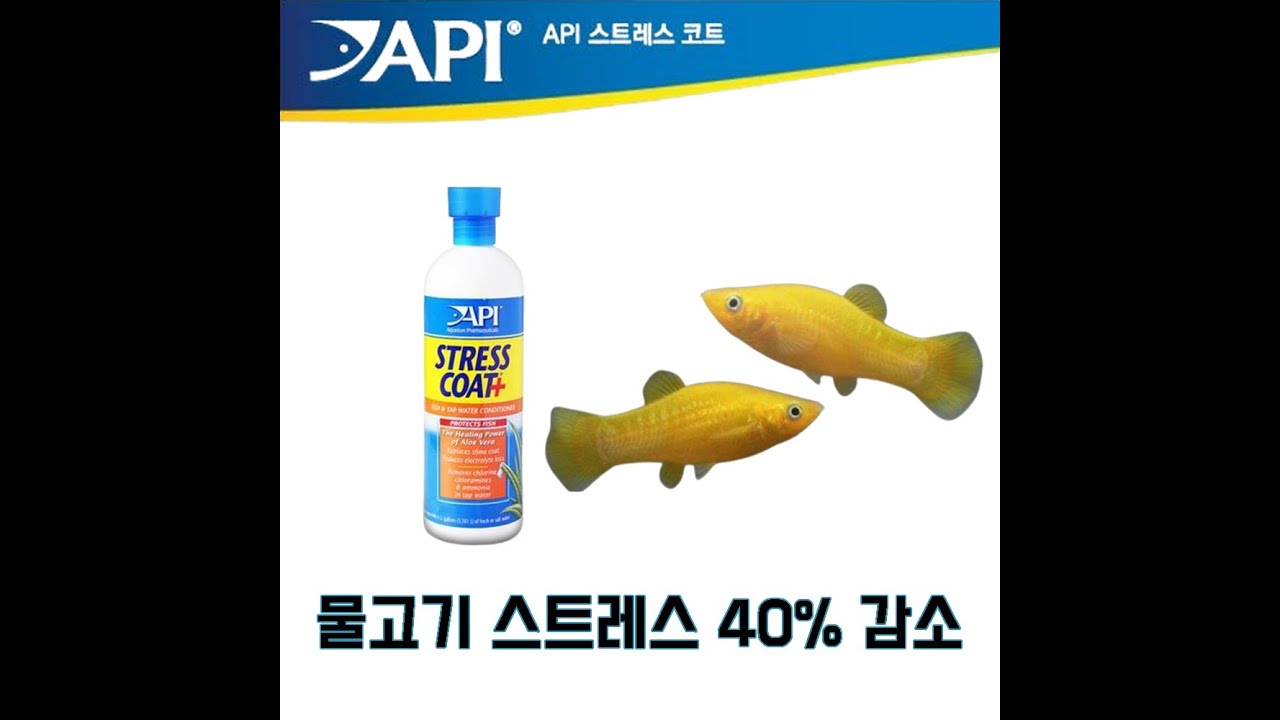 API STRESS COAT   Making tap water safe for your fish 1