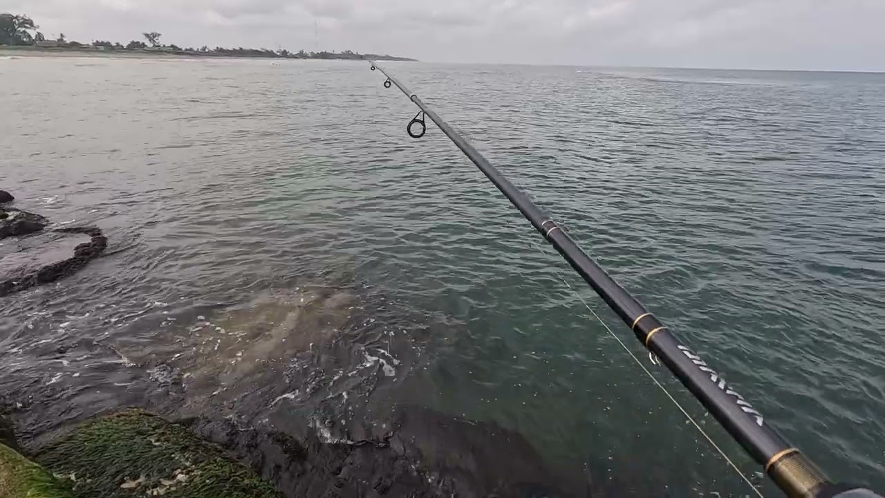 Pesca en escolleras de Sánchez Magallanes