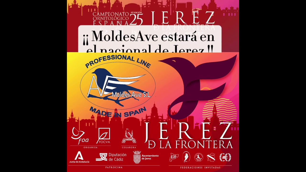 MoldesAve estará en el nacional de Jerez. Allí os esperamos!!🦜🌱🥰#ornitologia #aves #concursos
