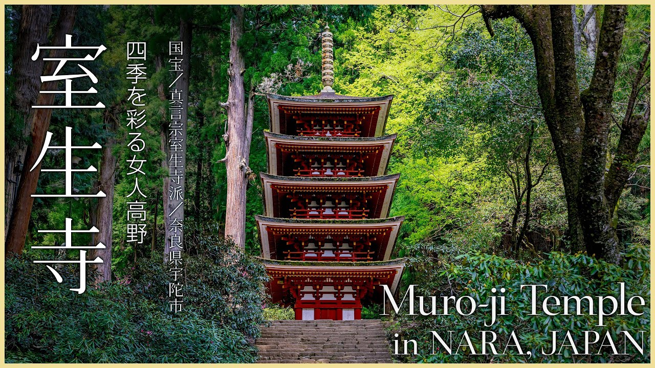 【奈良／国宝】室生寺春景色／四季を彩る女人高野 - Murouji Temple in NARA, JAPAN