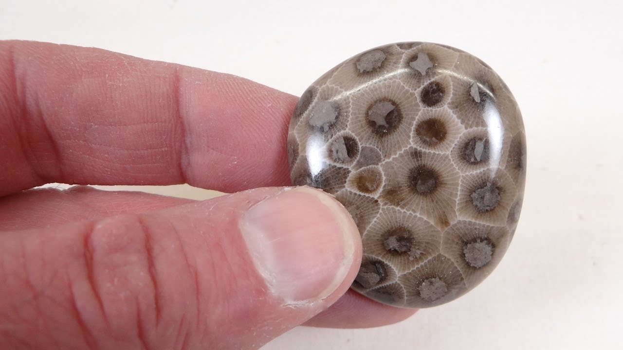 How to Partially Tumble Petoskey Stones