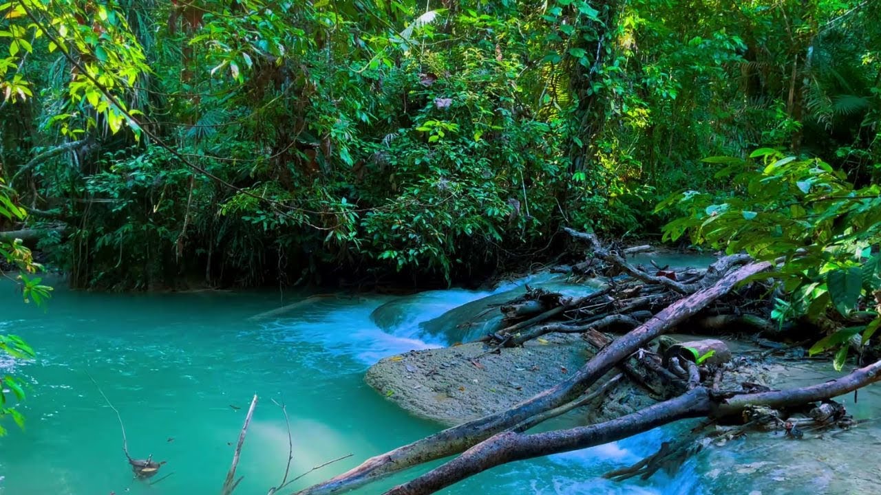 Sacred River of Harmony – Gentle Stream Sounds for Sleep Meditation