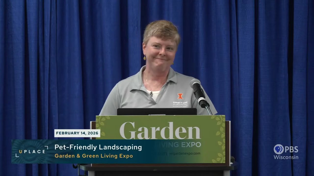 Pet-Friendly Landscaping | University Place