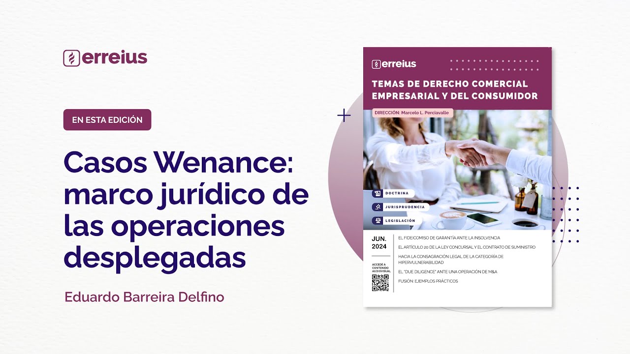 Casos Wenance: marco jurídico de las operaciones desplegadas