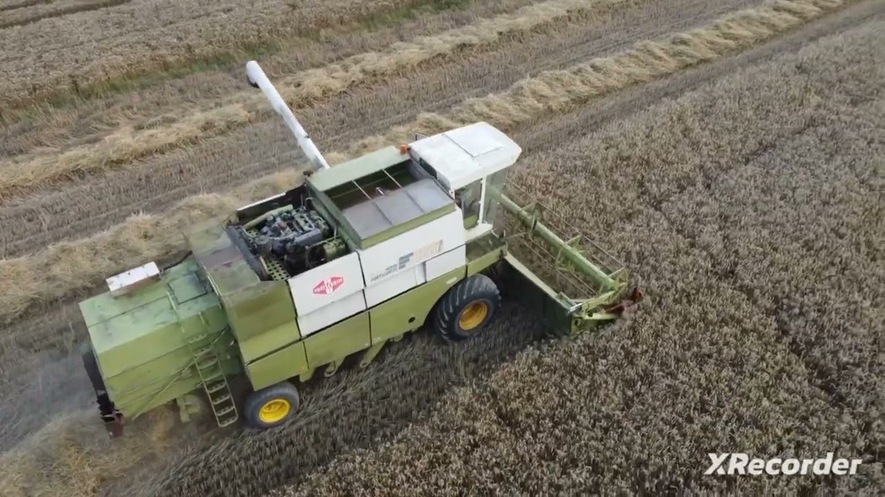 Pszenżyto ozime 2025 #johndeere #6310 #fortschritt #e517 #ddr