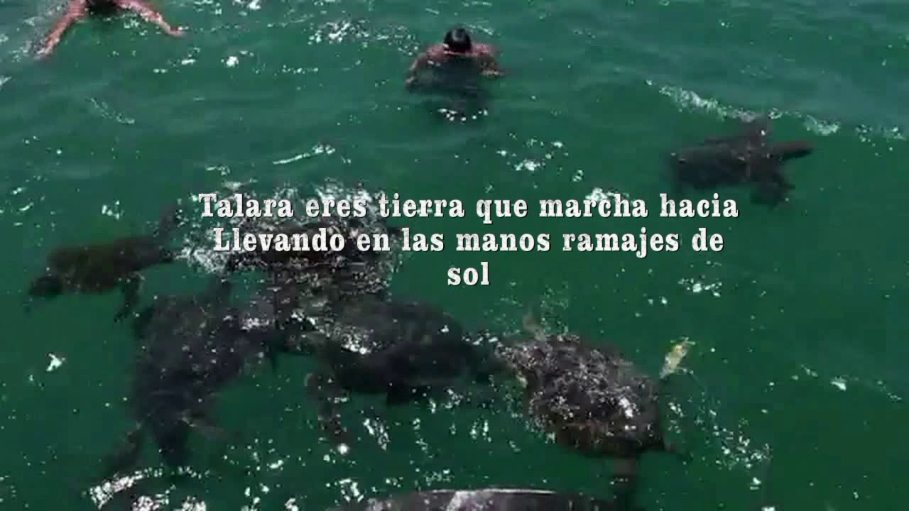 ENLACE MUNICIPAL- HIMNO A TALARA
