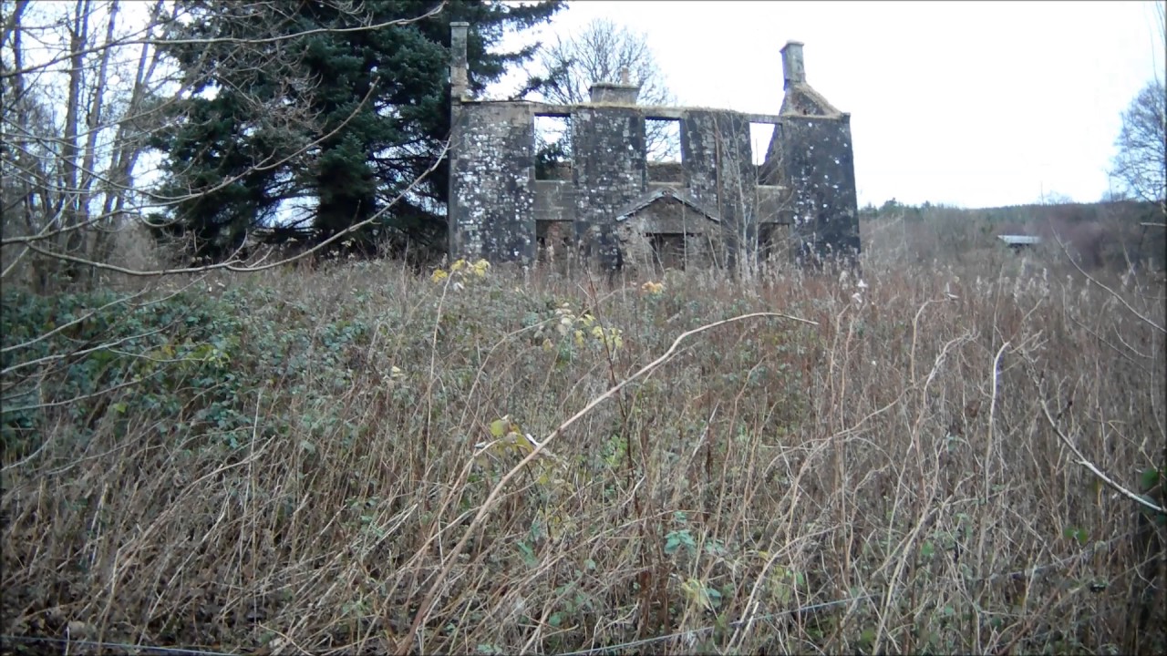 Will's Bothy & Riccarton Junction