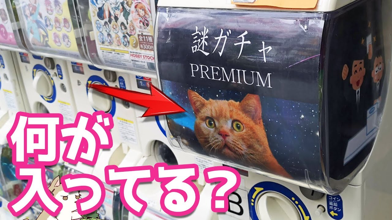 何が入ってるの？猫！？謎ガチャプレミアムまわしてみた