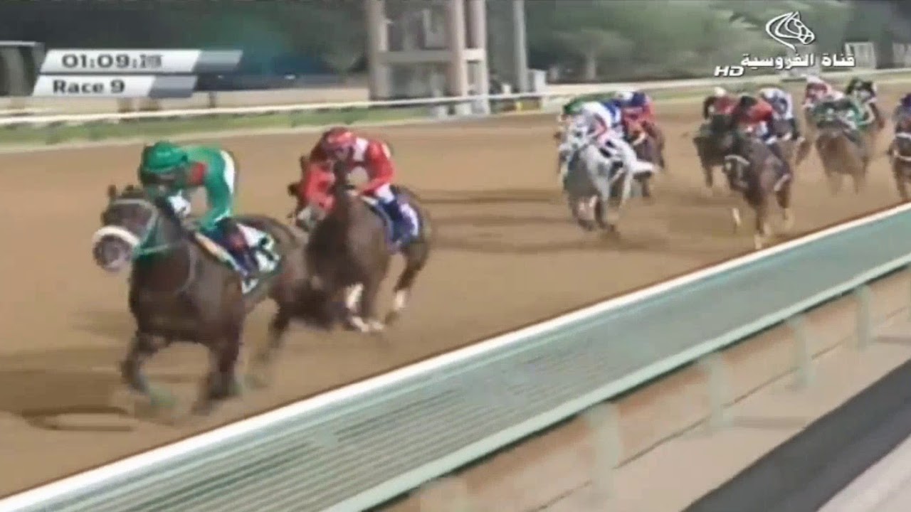 الشوط التاسع من الحفل 37 على جائزة نادي الفروسية التقديرية (لرؤية 2030) فوز الجواد 