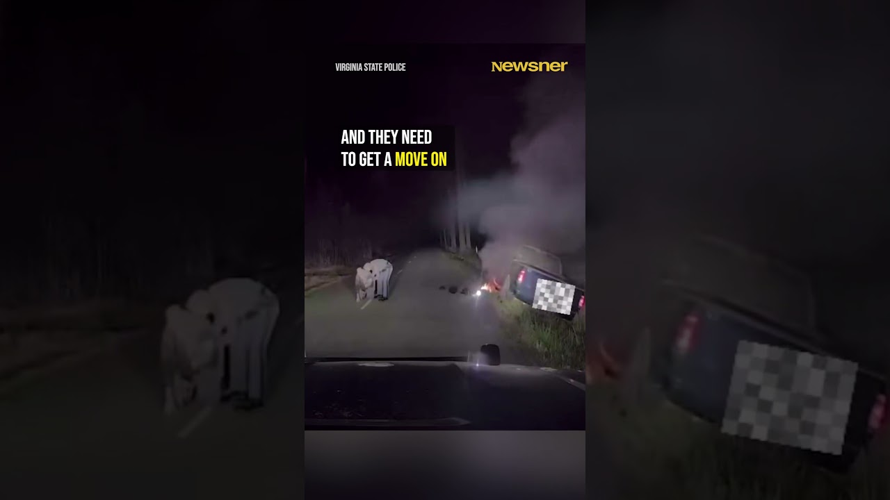 Virginia Trooper Risks Everything to Pull Driver from Burning Car #heroicrescue #hero #virginia