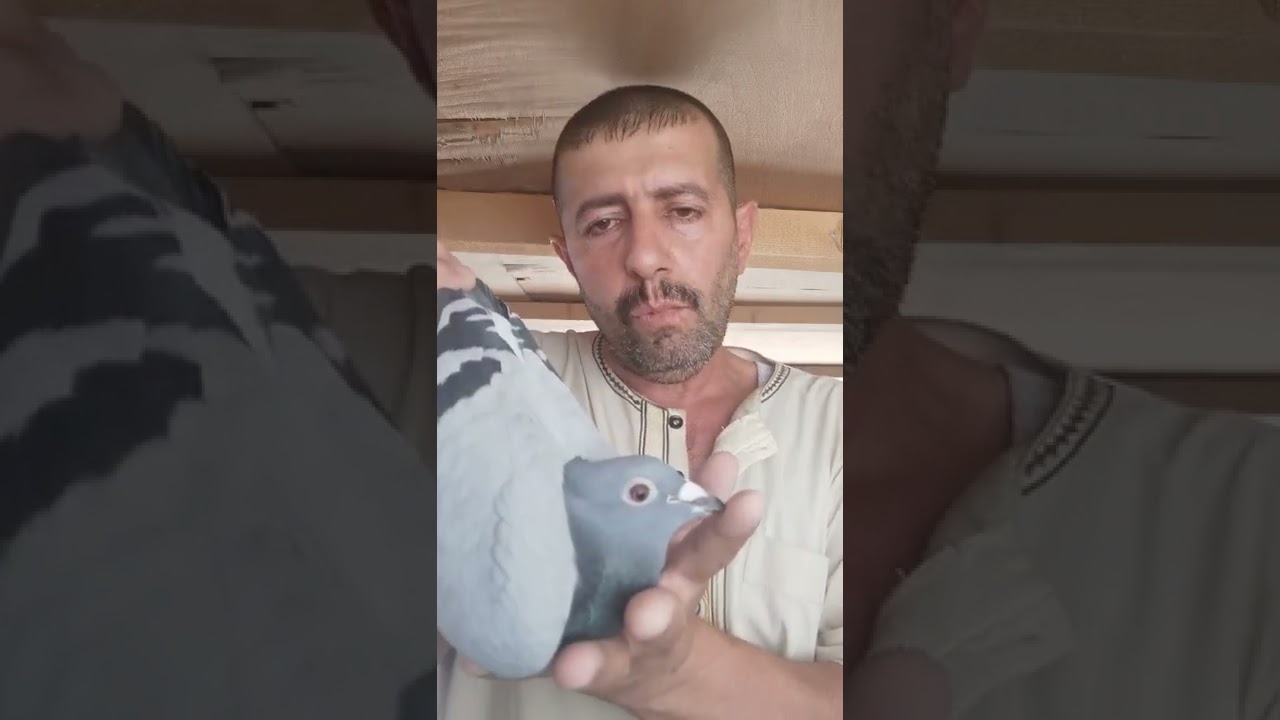 ١٢ يوليو، ٢٠٢٢