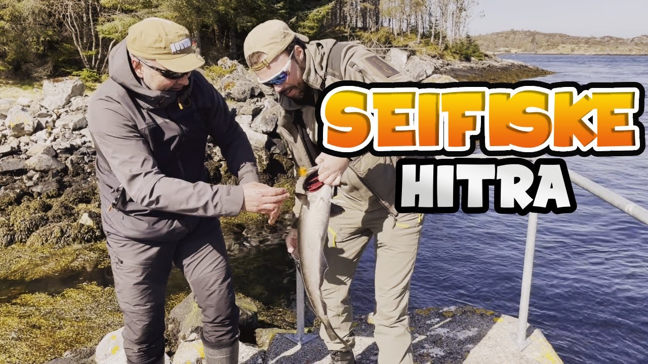 Seifiske på Hitra - Strømmen
