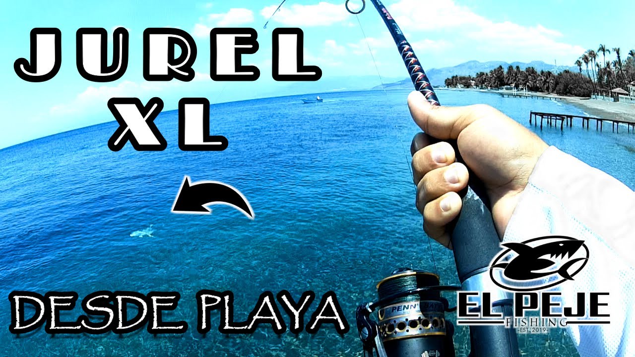 Pesca de JUREL GIGANTE [Giant JACK from SHORE]😱¡MAS DE 20 LBS!😱